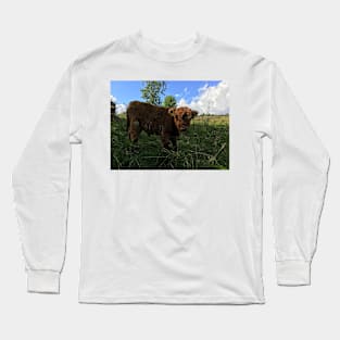 Scottish Highland Cattle Calf 1479 Long Sleeve T-Shirt